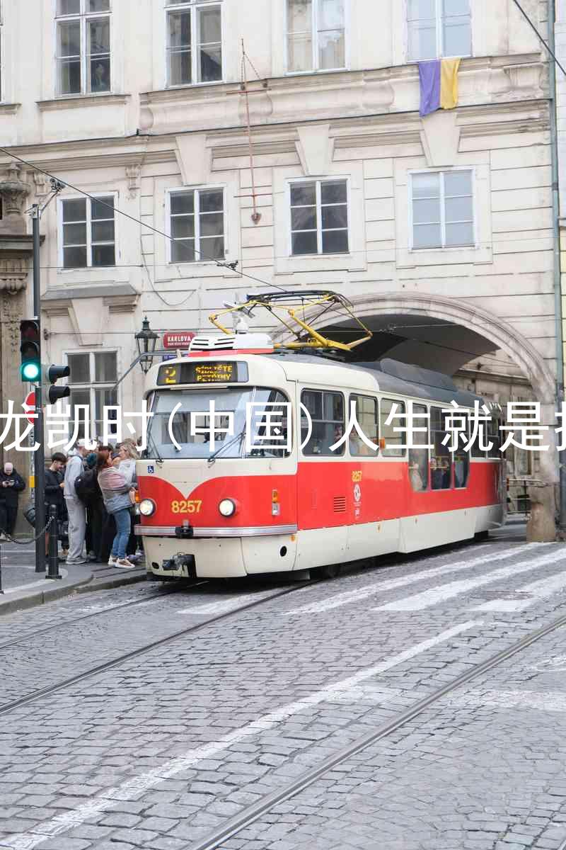 尊龙凯时(中国)人生就是搏!