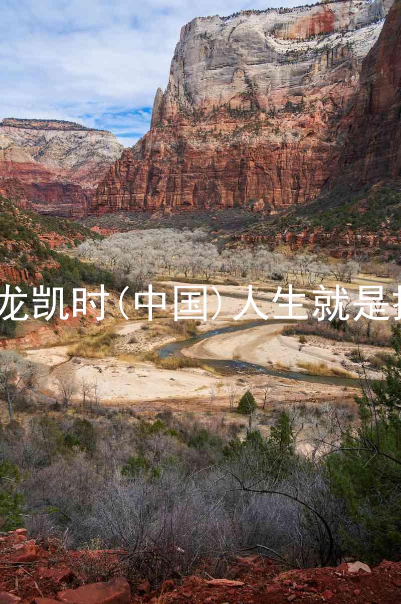 尊龙凯时(中国)人生就是搏!